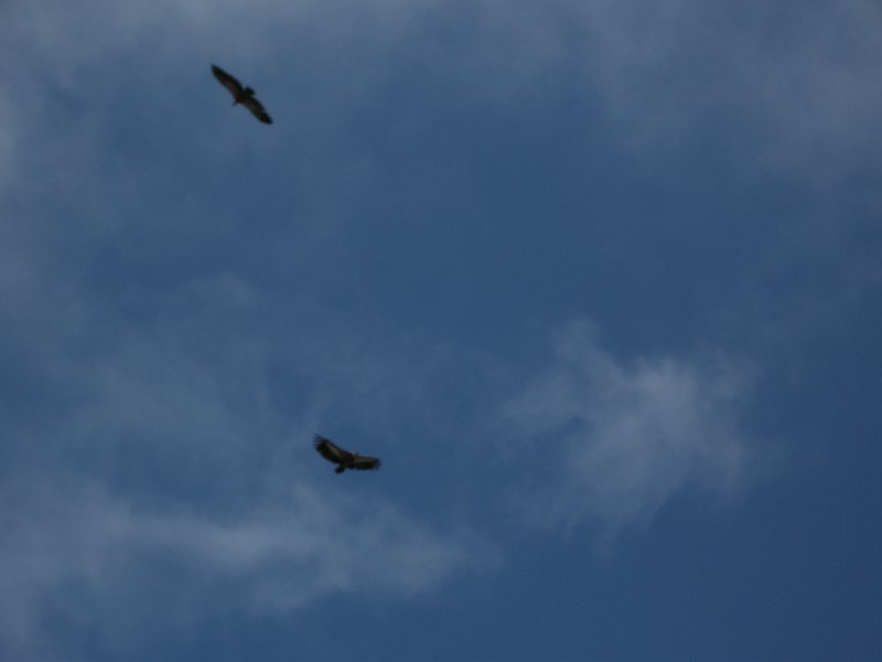 Picos_08_14 1057